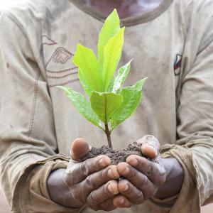 Environmental impact