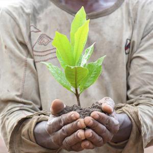 Etude d'impact environnemental