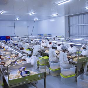 Food quality and safety policy ICN Bouaké