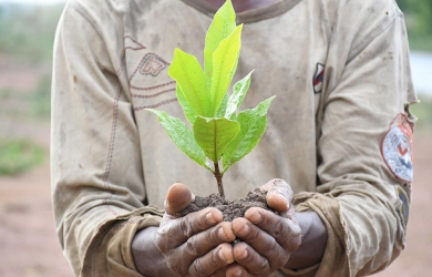 Etude d'impact environnemental