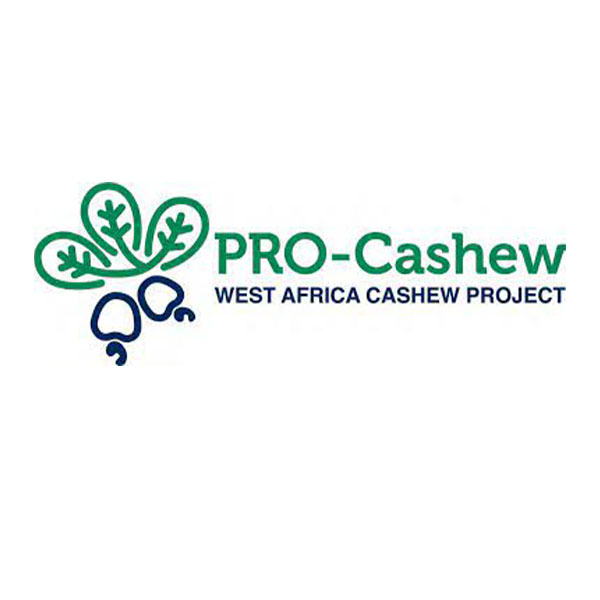 Pro-cashewt